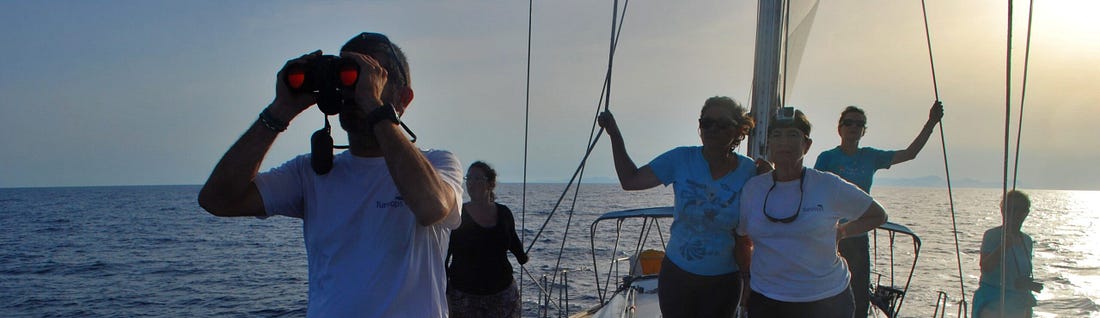 un grupo de científicos observa con prismáticos el mar en busca de señales de cachalotes