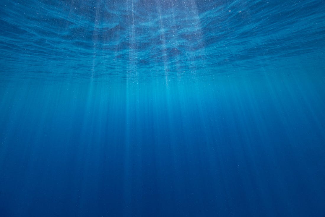 The blue water of Kealakekua Bay