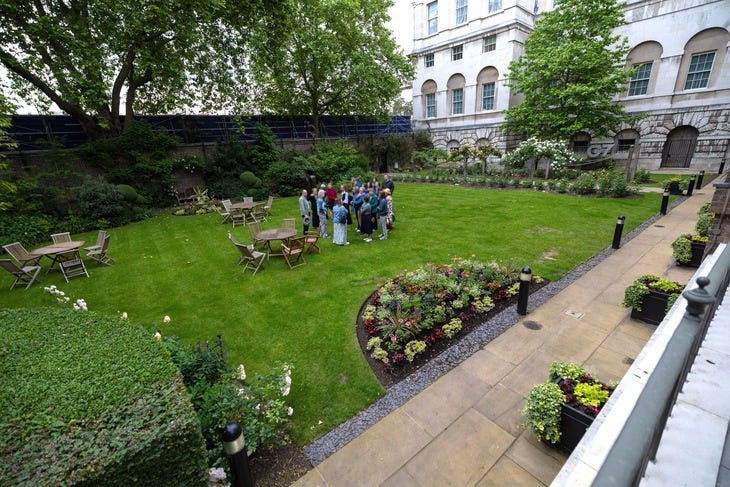 The Downing Street garden