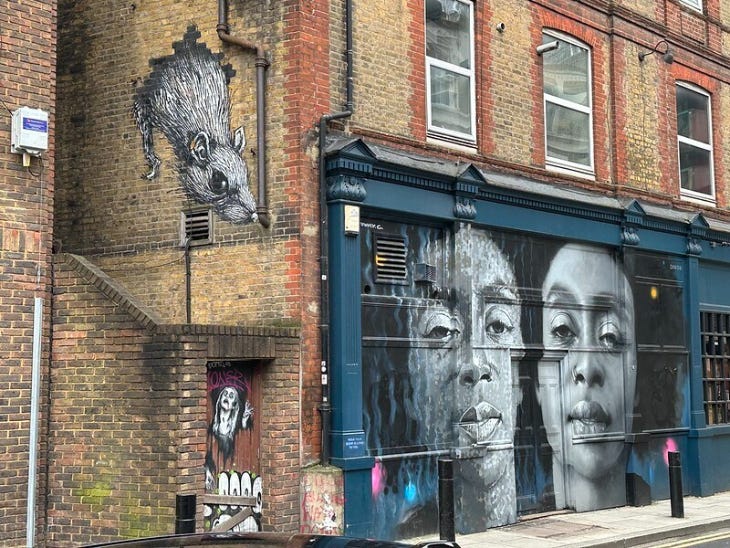 A rat crawls down the side of a pub building in london