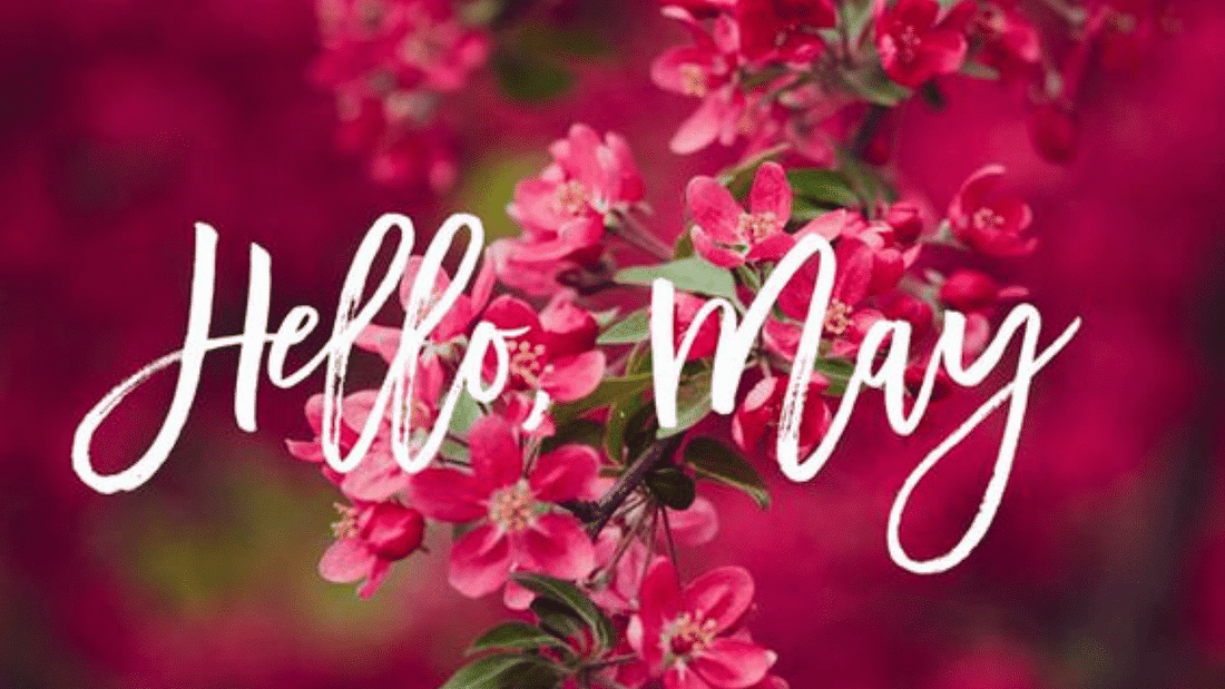 May month quotes: Quotes on May | May motivational quotes | Hello May ...