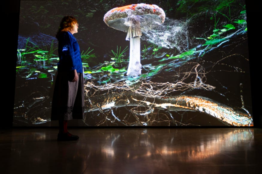 A person standing in front of a screen depicting a toadstool