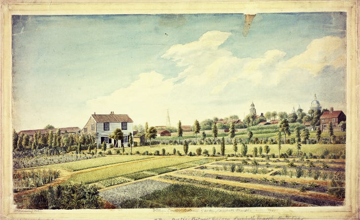 An illustration of a garden