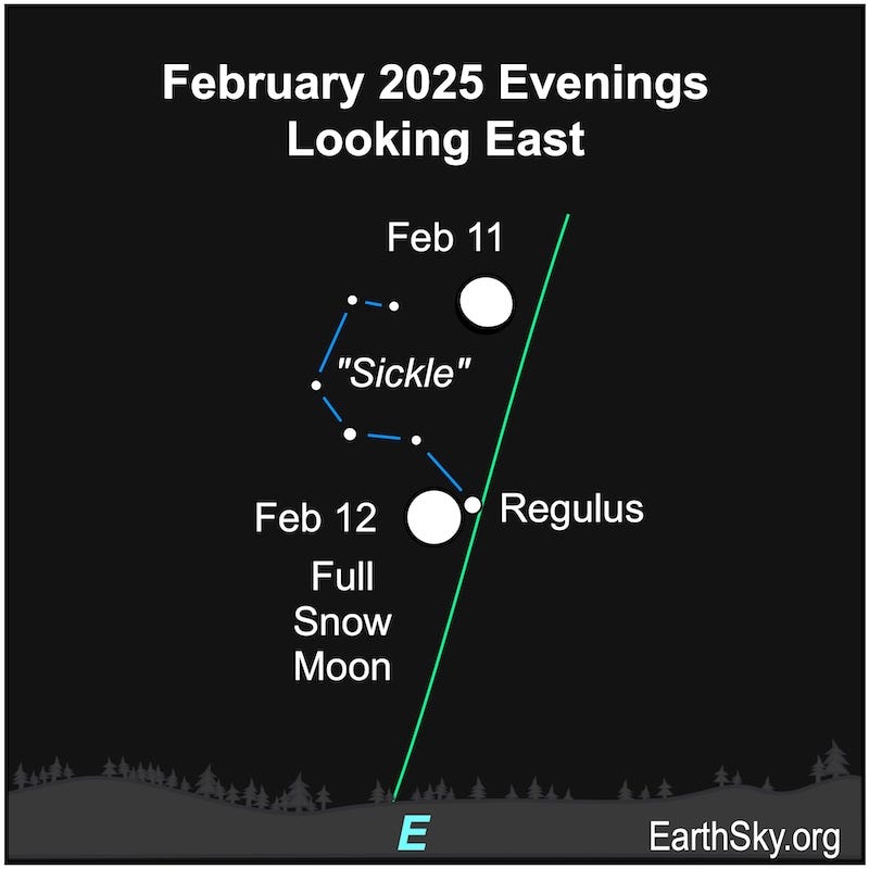 Large white dots for the moon on February 11 and 12 and small dots for the star pattern the Sickle. Large white dots for the moon on February 11 and 12 and small dots for the star pattern the Sickle.