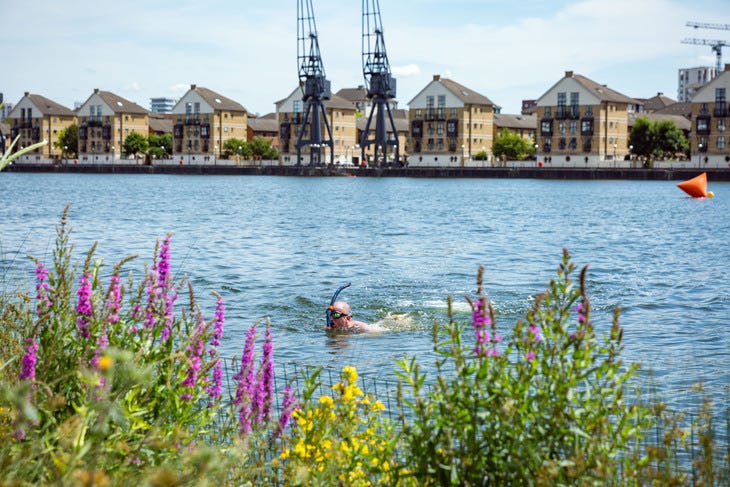 A man snorkelling in the docks