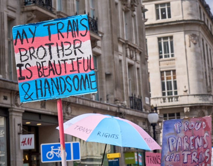 A hand painted sign reading "My trans broth3r is beautiful & handsome"