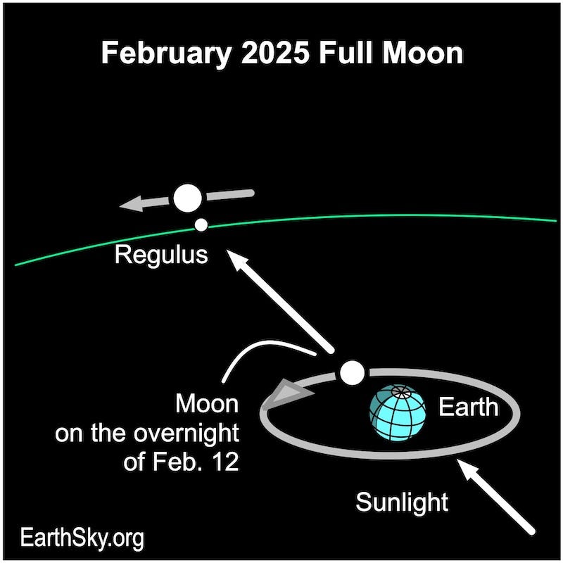 Chart showing an arrow passing a blue dot for Earth passing a smaller white dot for the moon projected in the direction of a white dot for Regulus and the moon.