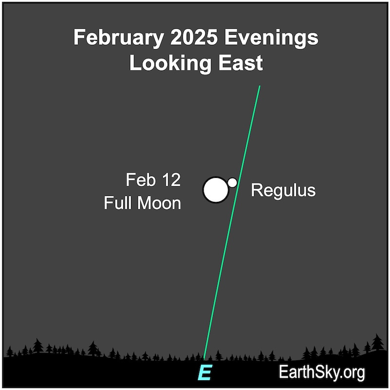 Chart showing a white disk as the full moon next to a white dot for the star Regulus. Chart showing a white disk as the full moon next to a white dot for the star Regulus.