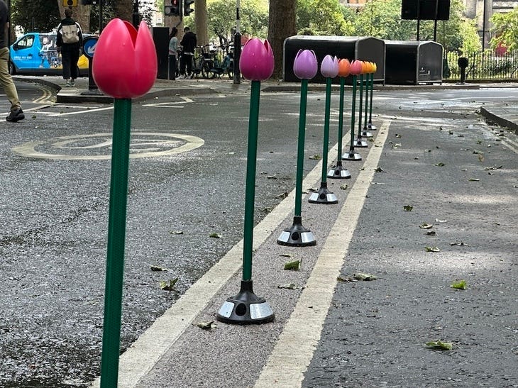 A tulip cycle lane
