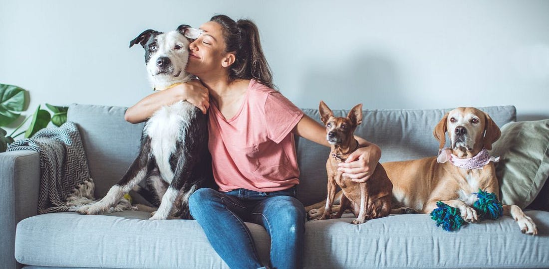 Emotional Wellbeing and Pet Ownership: Benefits and Ways to Reciprocate