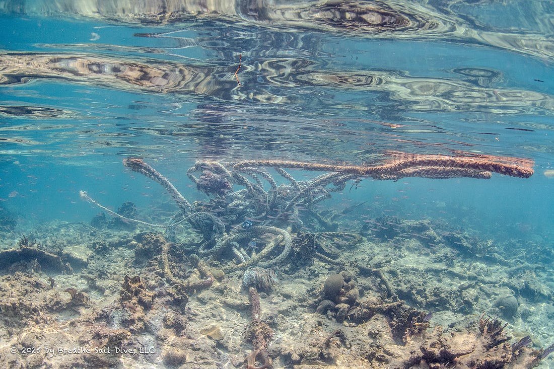   Underwater image of tangled ropes and marine debris draped across coral and seagrass on the seafloor at Fowl Cays National Park. The ropes, likely from the grounded barge or tugboat, twist chaotically among damaged coral structures. Small fish swim through the scene, highlighting the ongoing harm to the fragile reef ecosystem.