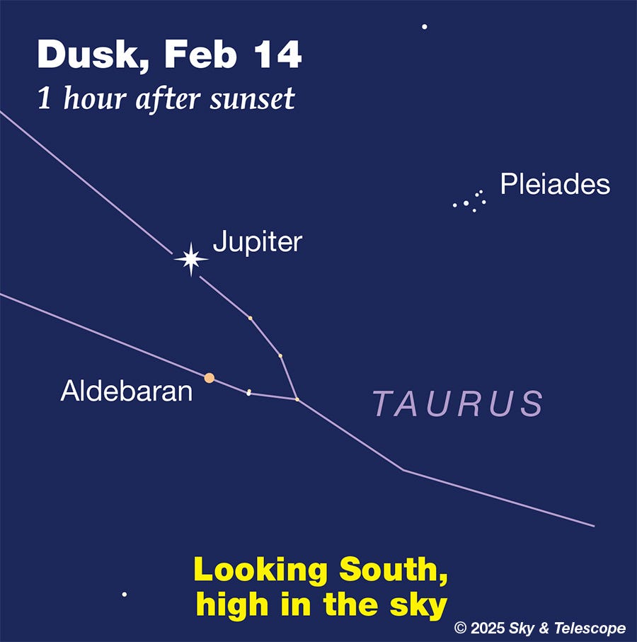 Jupiter with Aldebaran and the Pleiades, mid-February 2025