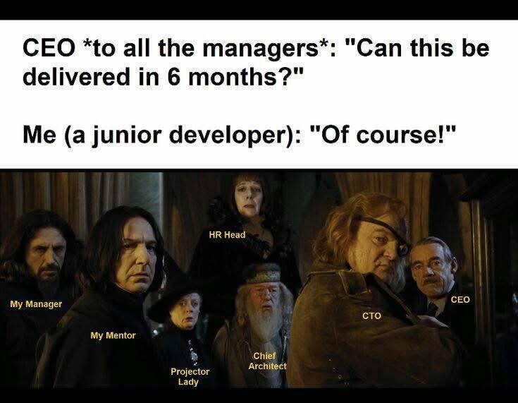 r/ProgrammerHumor - meAsaJuniorDeveloper