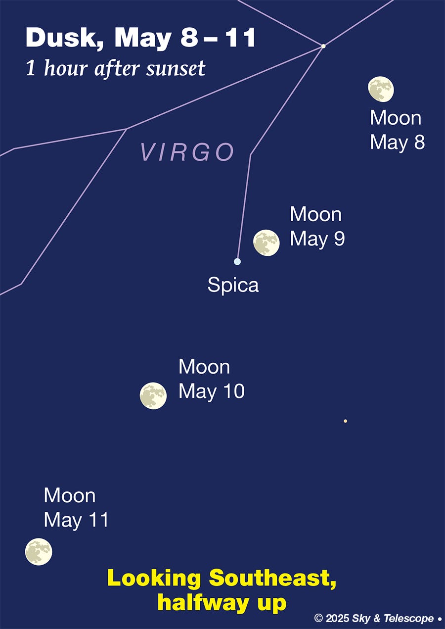 Bright Moon passing Spica, May 8-11, 2025