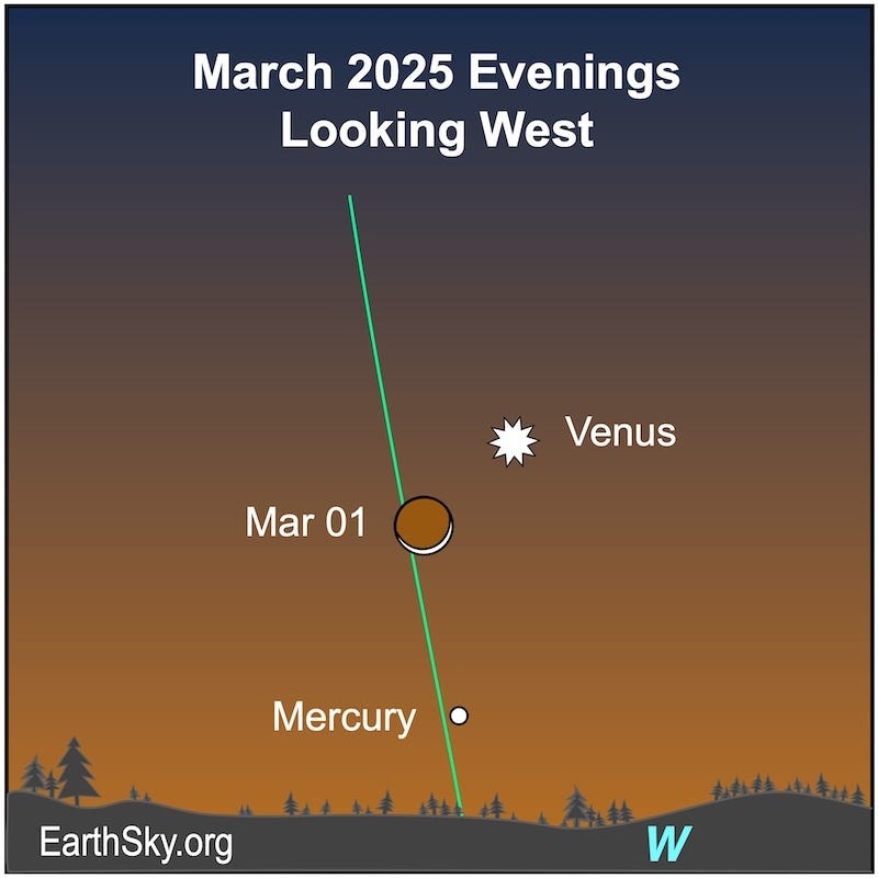 The crescent shape of the moon is below the starred dot representing Venus. Below the crescent is a small dot, Mercury, just above the horizon line.