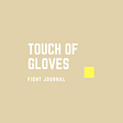 Touch of Gloves Fight Journal 