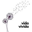 Vida Vivida