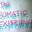 The Somatic Experience