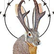 Cosmic Jackalope