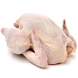 Halal frozen chicken wholesale