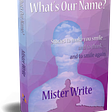 Mister Write