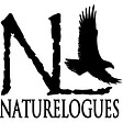 Naturelogues:  Stories and photos from nature