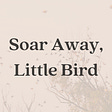 Soar Away, Little Bird