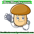 The DocMushroom Newsletter