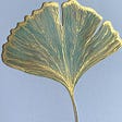 Ginkgo Leaves