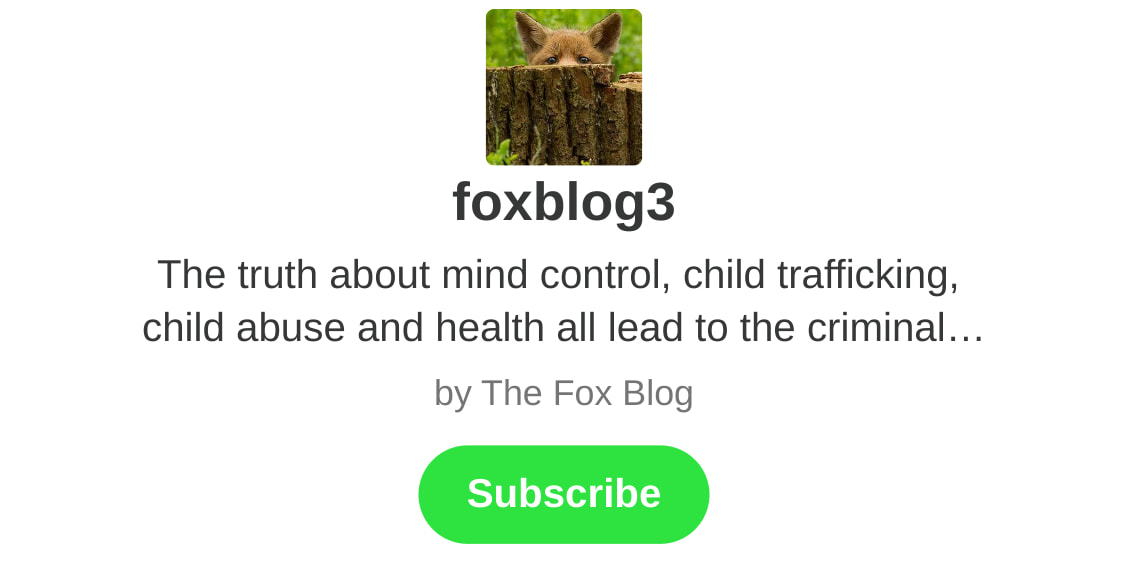 FoxyFox Newsletter