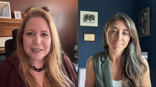 mainstream_national_media_wont_save_us_live_with_tara_mc_gowan_susan_demas.mp4
