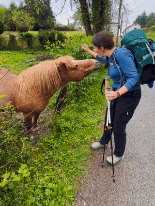 40BB7D83-4829-4398-938D-6E242996008D.mov