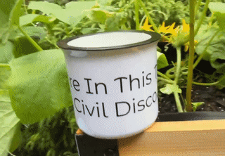 coffee cup.mov