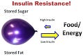 Towards Reversing Type 2 Diabetes - by Dr. Jason Fung