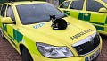 Ambulance Staff Launch Petition To Save Station Cat 'Defib' From Eviction