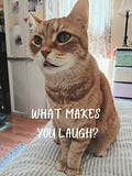 What Makes You Laugh? - By Pennie R. S. Nelson