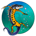 Organic Pools by David Pagan Butler | Substack