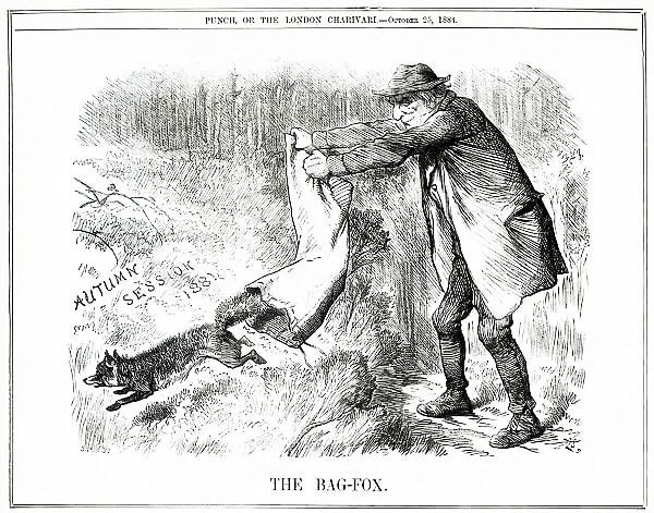 Black and white illustration for Punch magazine showing a man releasing a fox from a sack. This is meant as a political satire on prime minister William Gladstone but is also an effective representation of turning out foxes for hunting.