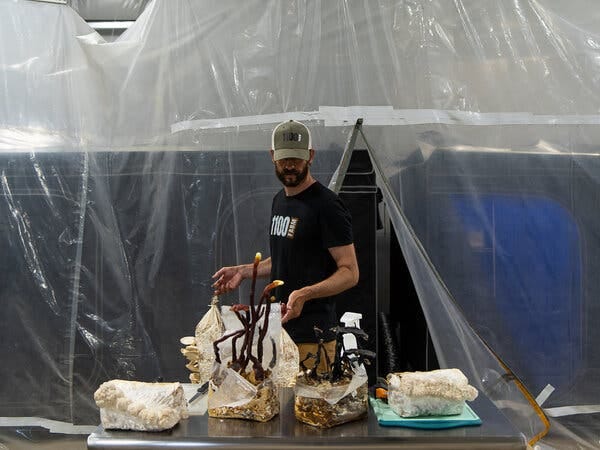 Tyler Faaborg standing at table with bundles mushroom products. 