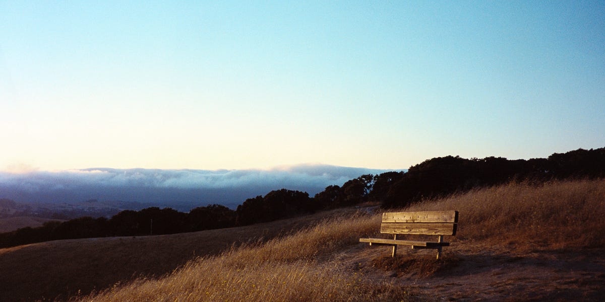 Thumbnail of Fragments, bits, pieces