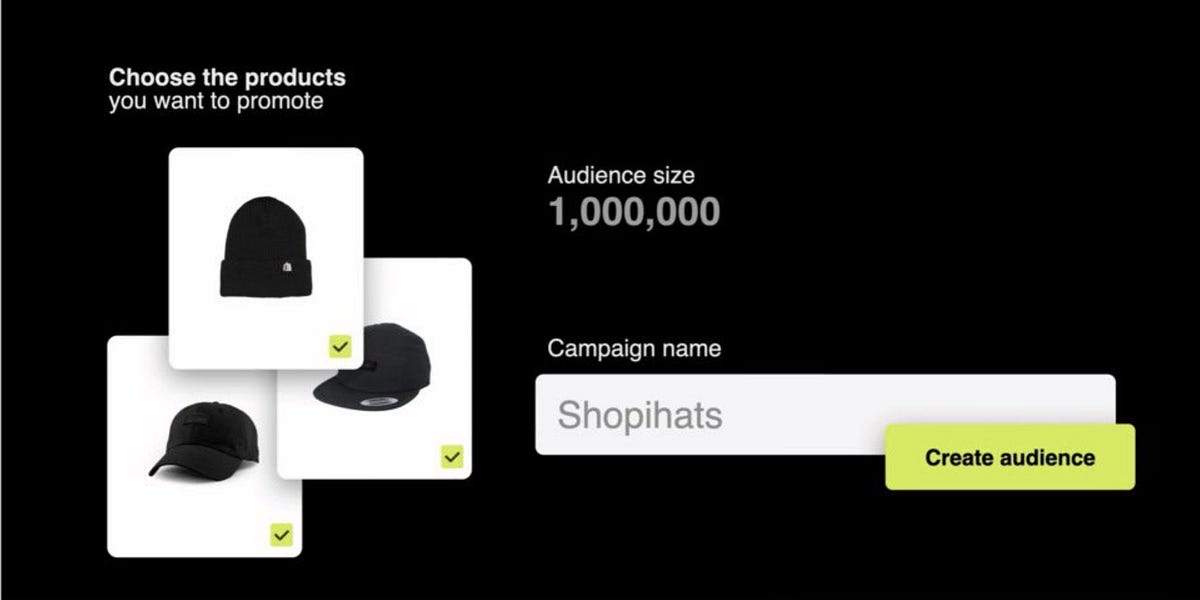 Thumbnail of Shopify Audiences