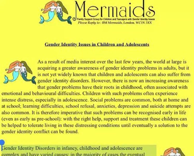 Before Susie Green arrived, Mermaids was halfway sane