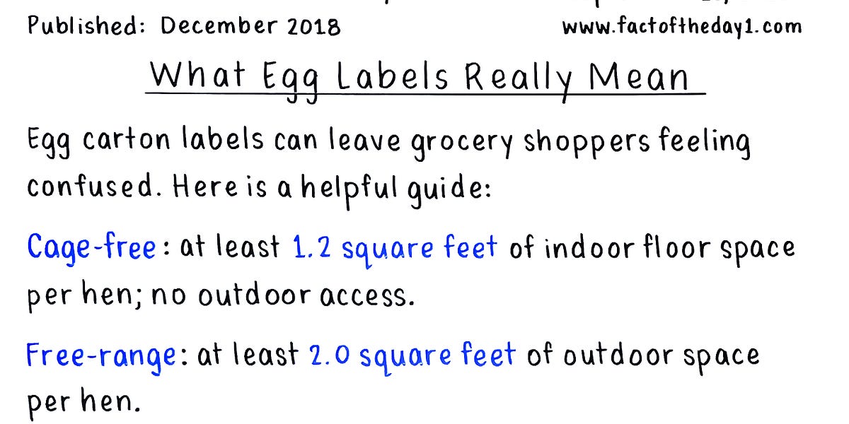September 20: What egg labels really mean