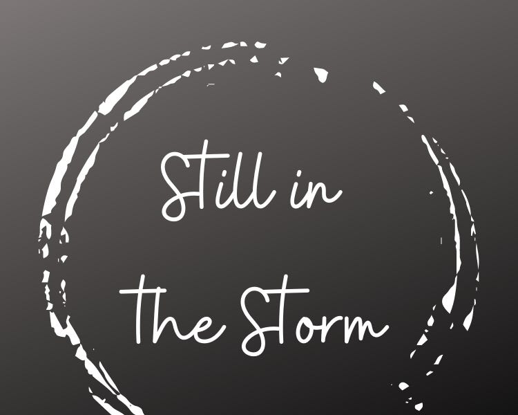 Merry Christmas from Still in the Storm