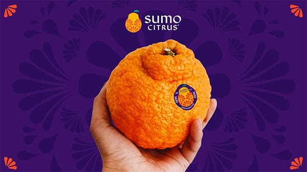 Sumo Oranges 🍊 Everything You Need to Know - Butter N Thyme