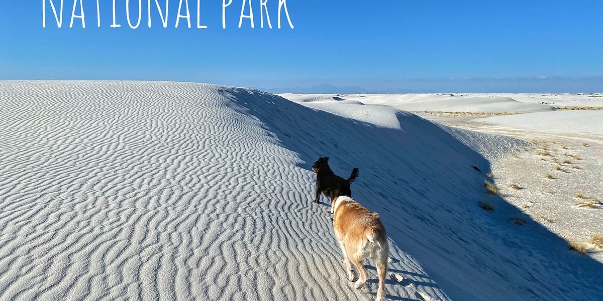 This National Park in New Mexico Has the World's Largest White-sand Dune  Field