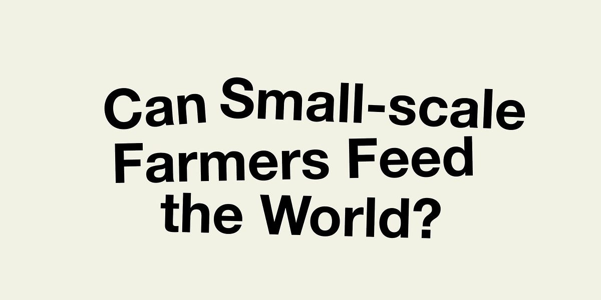 UN Report Says Small-Scale Organic Farming Only Way To Feed The
