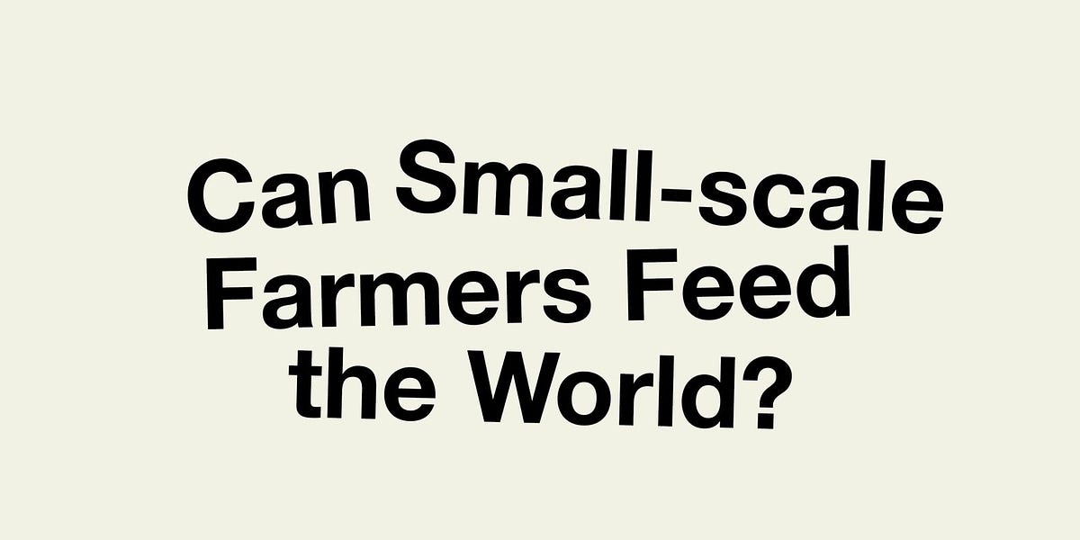 Backgrounder: Small Scale Farmers and Peasants Still Feed the