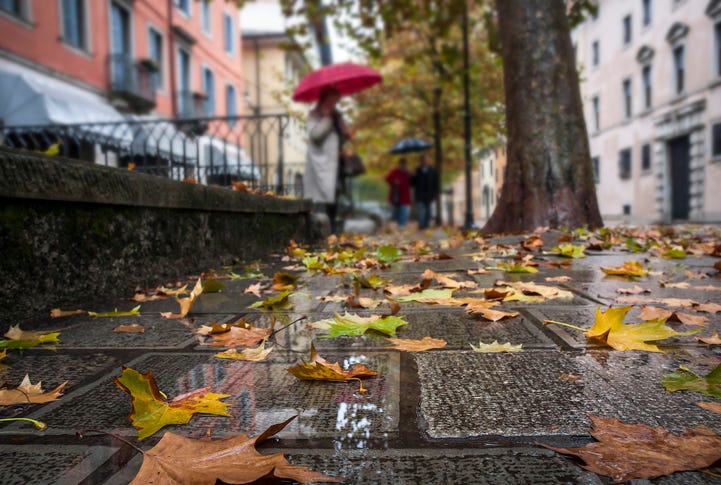 "Cat in the Rain," Part Two