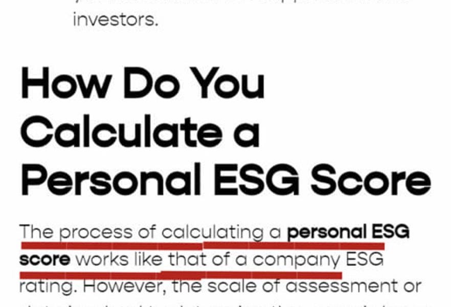 Personal ESG Scores?